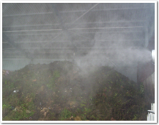 Odour Dust